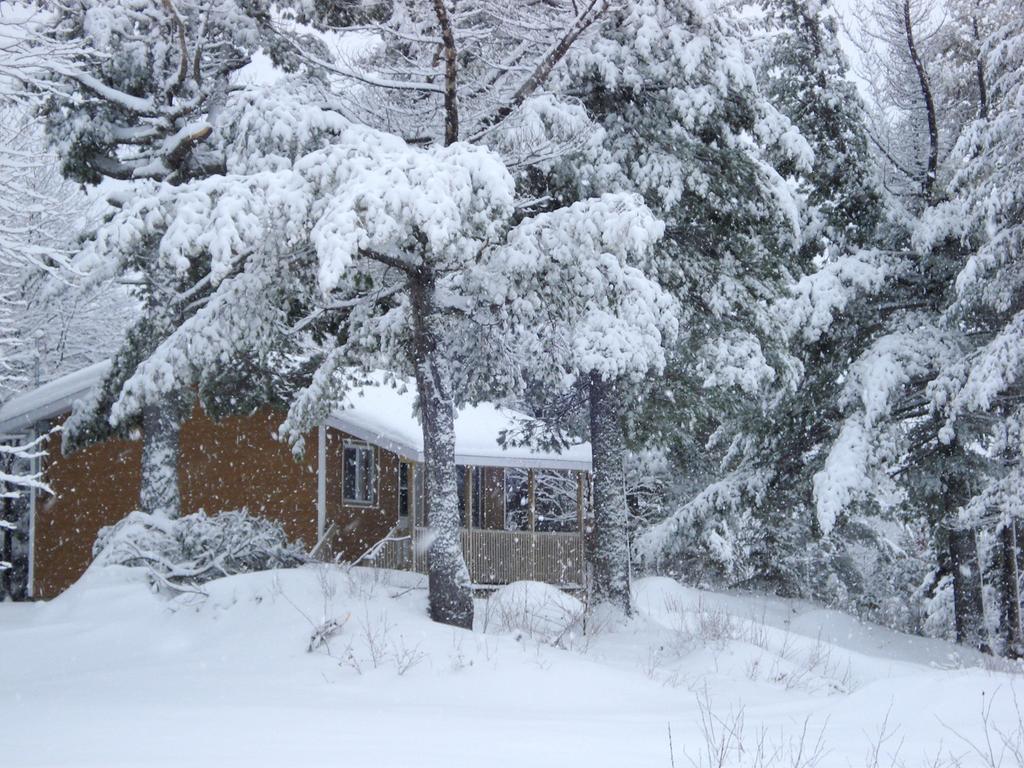 Auberge La Taniere Tadoussac Εξωτερικό φωτογραφία