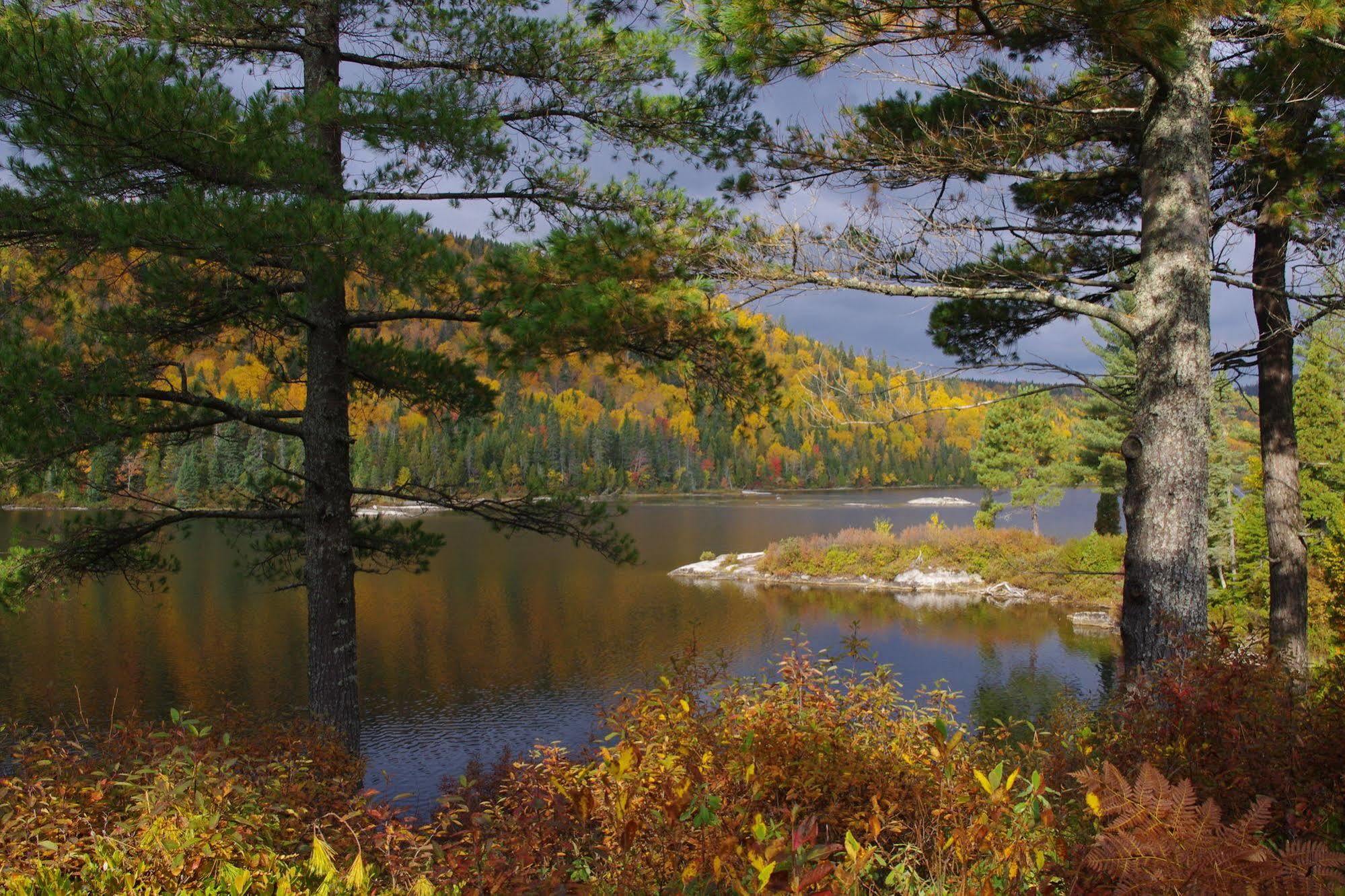 Auberge La Taniere Tadoussac Εξωτερικό φωτογραφία
